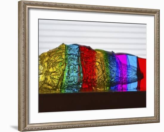 Jello Shot-Alan Sailer-Framed Photographic Print