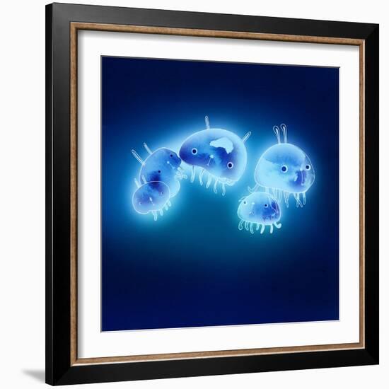 Jelly Fish, 2013-Yoyo Zhao-Framed Giclee Print