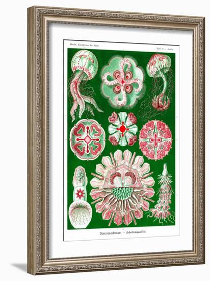 Jelly Fish-Ernst Haeckel-Framed Art Print