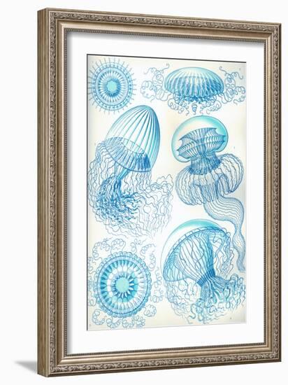 Jelly Fish-Ernst Haeckel-Framed Art Print