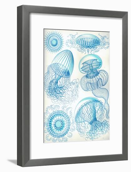 Jelly Fish-Ernst Haeckel-Framed Art Print