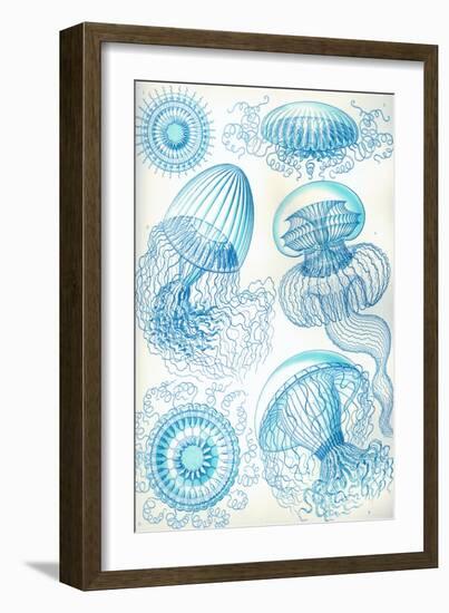 Jelly Fish-Ernst Haeckel-Framed Art Print