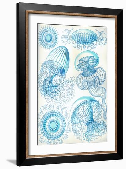 Jelly Fish-Ernst Haeckel-Framed Art Print