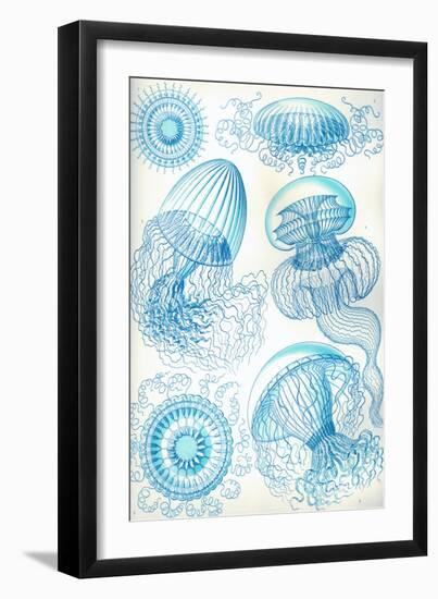 Jelly Fish-Ernst Haeckel-Framed Art Print