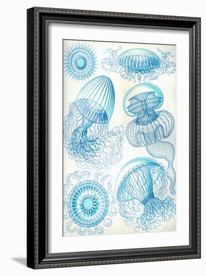 Jelly Fish-Ernst Haeckel-Framed Art Print