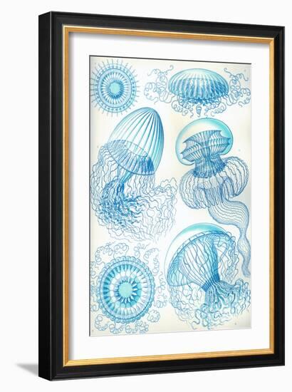 Jelly Fish-Ernst Haeckel-Framed Art Print