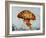 Jelly fish-Sydney Edmunds-Framed Giclee Print