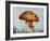 Jelly fish-Sydney Edmunds-Framed Giclee Print