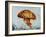 Jelly fish-Sydney Edmunds-Framed Giclee Print