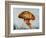 Jelly fish-Sydney Edmunds-Framed Giclee Print