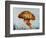 Jelly fish-Sydney Edmunds-Framed Giclee Print