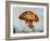 Jelly Fish-Sydney Edmunds-Framed Giclee Print