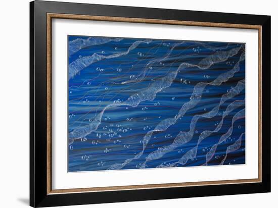 Jelly Tentacles-Martin Nasim-Framed Giclee Print