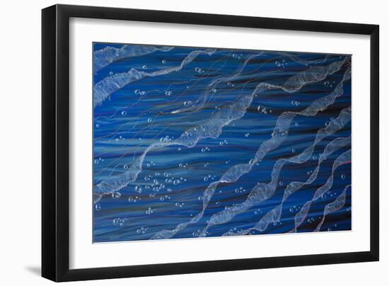 Jelly Tentacles-Martin Nasim-Framed Giclee Print