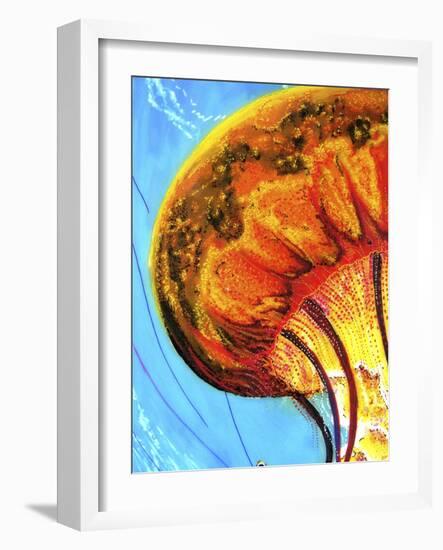 Jelly-Martin Nasim-Framed Giclee Print