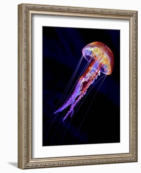 Jellyen-Henry Jager-Framed Giclee Print