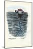 Jellyfish, 1863-79-Raimundo Petraroja-Mounted Giclee Print