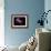 Jellyfish 3-IvanaOK-Framed Photographic Print displayed on a wall