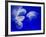 Jellyfish, Aquarium, Oceanographic Institute, Monaco-Veille, Monaco-Ethel Davies-Framed Photographic Print