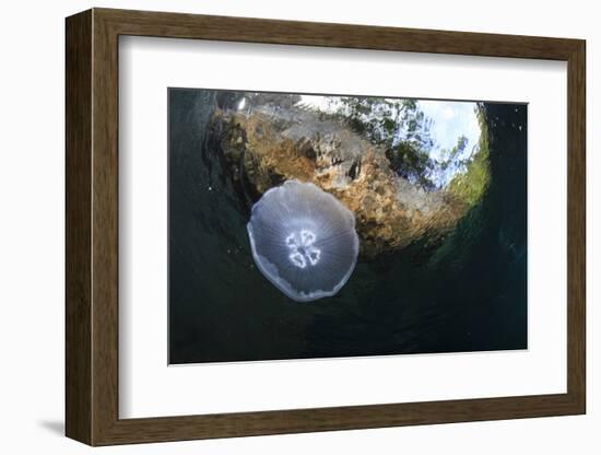 Jellyfish below the Surface-Bernard Radvaner-Framed Photographic Print