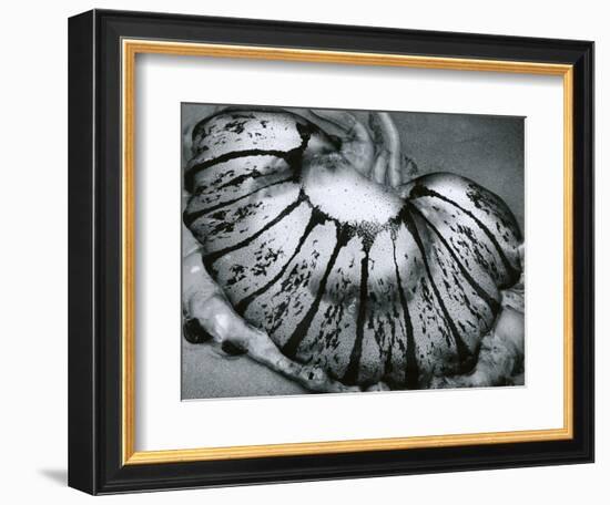 Jellyfish, California, 1967-Brett Weston-Framed Photographic Print