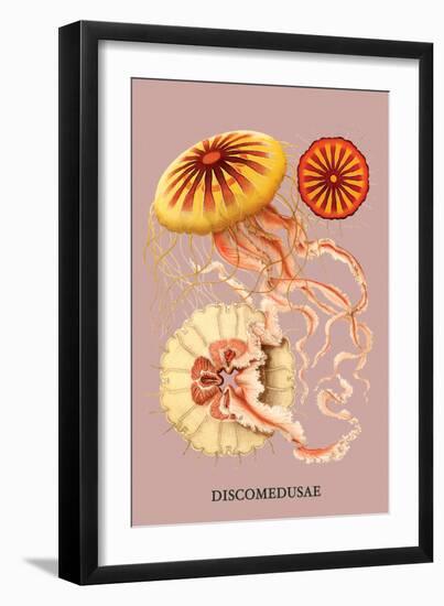 Jellyfish: Discomedusae-Ernst Haeckel-Framed Art Print