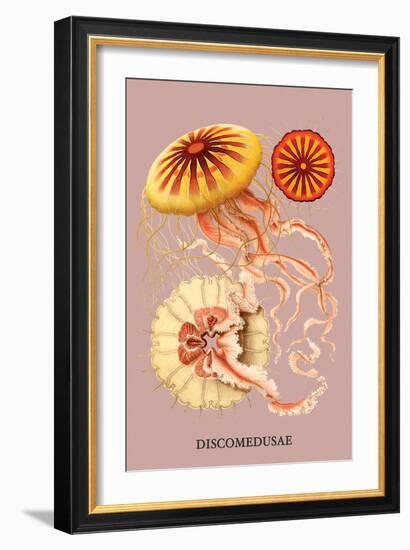 Jellyfish: Discomedusae-Ernst Haeckel-Framed Art Print