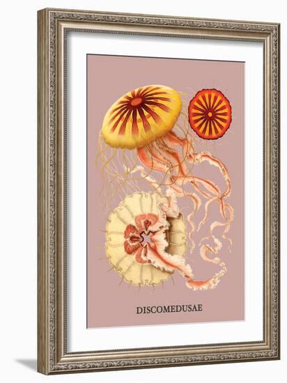 Jellyfish: Discomedusae-Ernst Haeckel-Framed Art Print