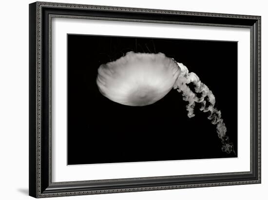 Jellyfish Glow III-Erin Berzel-Framed Photographic Print