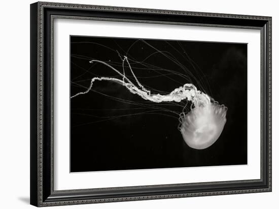 Jellyfish Glow IV-Erin Berzel-Framed Photographic Print