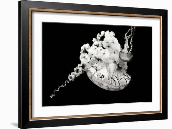 Jellyfish Glow VI-Erin Berzel-Framed Photographic Print