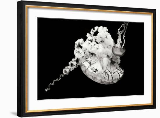 Jellyfish Glow VI-Erin Berzel-Framed Photographic Print