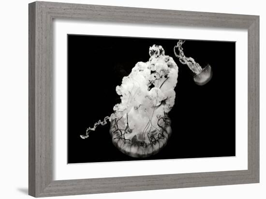 Jellyfish Glow VII-Erin Berzel-Framed Photographic Print