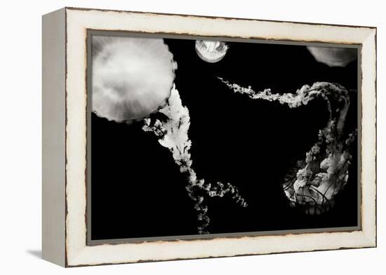 Jellyfish Glow VIII-Erin Berzel-Framed Premier Image Canvas