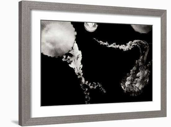 Jellyfish Glow VIII-Erin Berzel-Framed Photographic Print