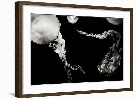 Jellyfish Glow VIII-Erin Berzel-Framed Photographic Print