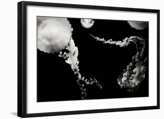 Jellyfish Glow VIII-Erin Berzel-Framed Photographic Print