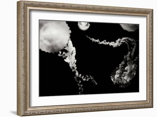 Jellyfish Glow VIII-Erin Berzel-Framed Photographic Print