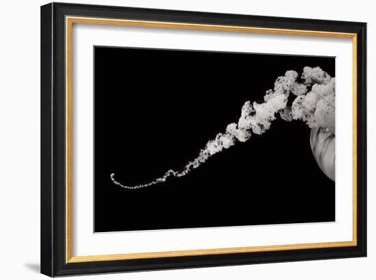 Jellyfish Glow X-Erin Berzel-Framed Photographic Print