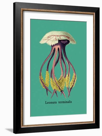 Jellyfish: Leonura Terminalis-Ernst Haeckel-Framed Art Print