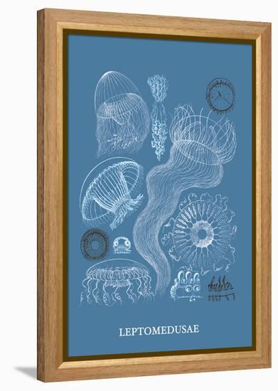 Jellyfish: Leptomedusae-Ernst Haeckel-Framed Stretched Canvas