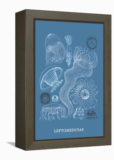 Jellyfish: Leptomedusae-Ernst Haeckel-Framed Stretched Canvas