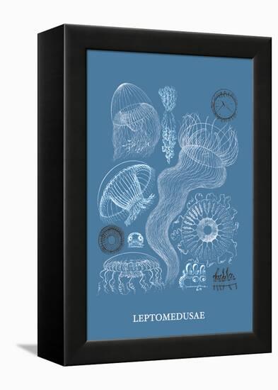 Jellyfish: Leptomedusae-Ernst Haeckel-Framed Stretched Canvas