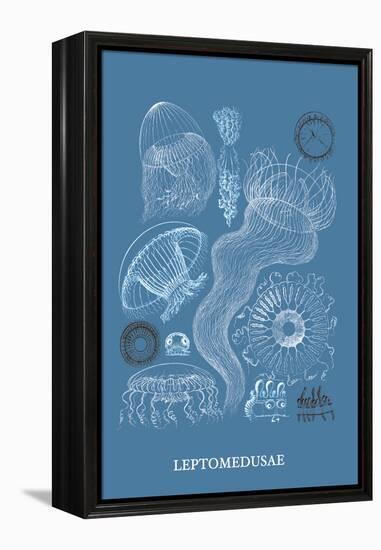 Jellyfish: Leptomedusae-Ernst Haeckel-Framed Stretched Canvas