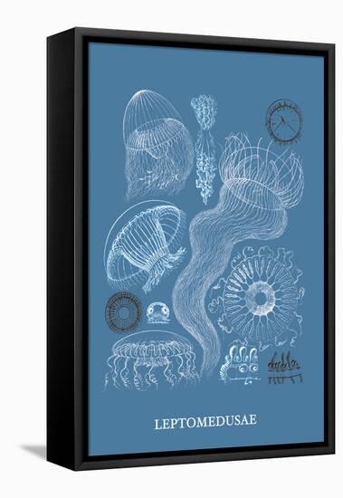 Jellyfish: Leptomedusae-Ernst Haeckel-Framed Stretched Canvas