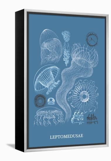 Jellyfish: Leptomedusae-Ernst Haeckel-Framed Stretched Canvas