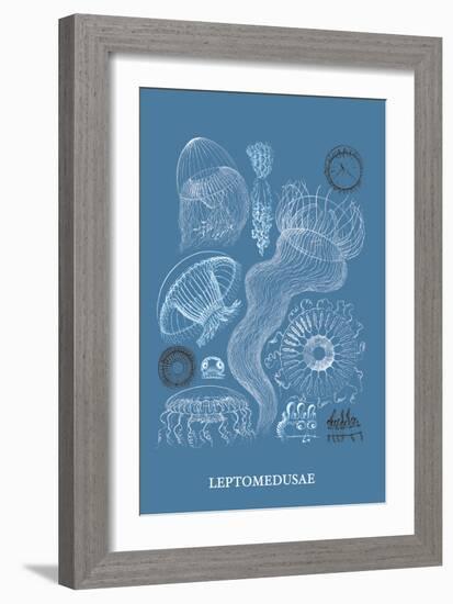 Jellyfish: Leptomedusae-Ernst Haeckel-Framed Art Print