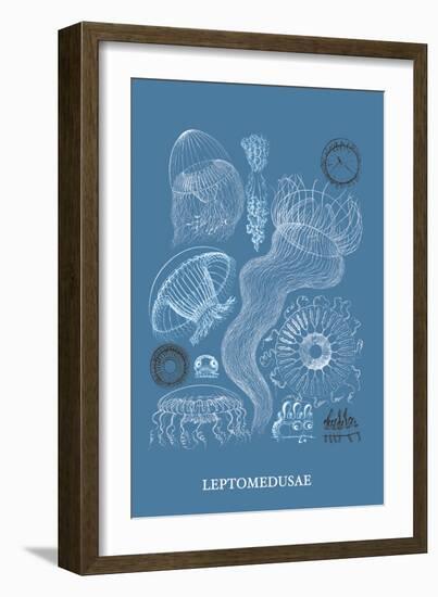 Jellyfish: Leptomedusae-Ernst Haeckel-Framed Art Print