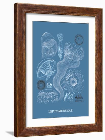 Jellyfish: Leptomedusae-Ernst Haeckel-Framed Art Print