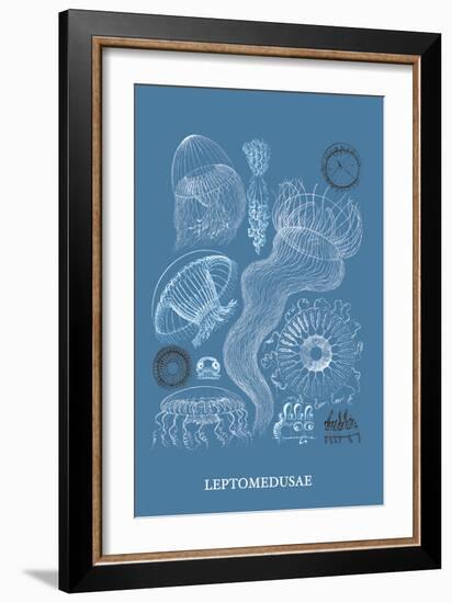 Jellyfish: Leptomedusae-Ernst Haeckel-Framed Art Print